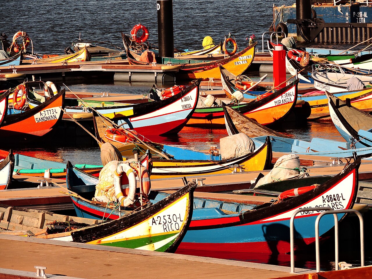 Moliceiros tradicionais na Ria de Aveiro